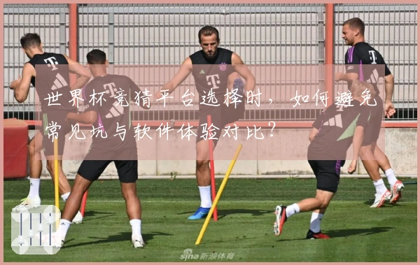 世界杯竞猜平台选择时，如何避免常见坑与软件体验对比？