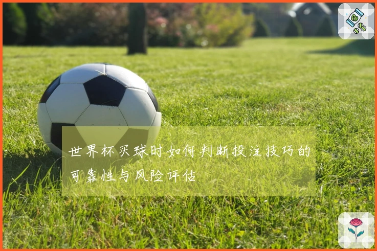 世界杯买球时如何判断投注技巧的可靠性与风险评估