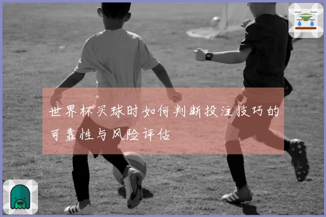 世界杯买球时如何判断投注技巧的可靠性与风险评估