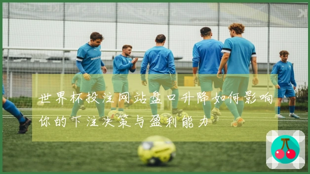 世界杯投注网站盘口升降如何影响你的下注决策与盈利能力