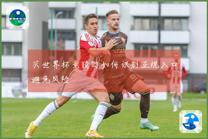 买世界杯竞猜时如何识别正规入口避免风险
