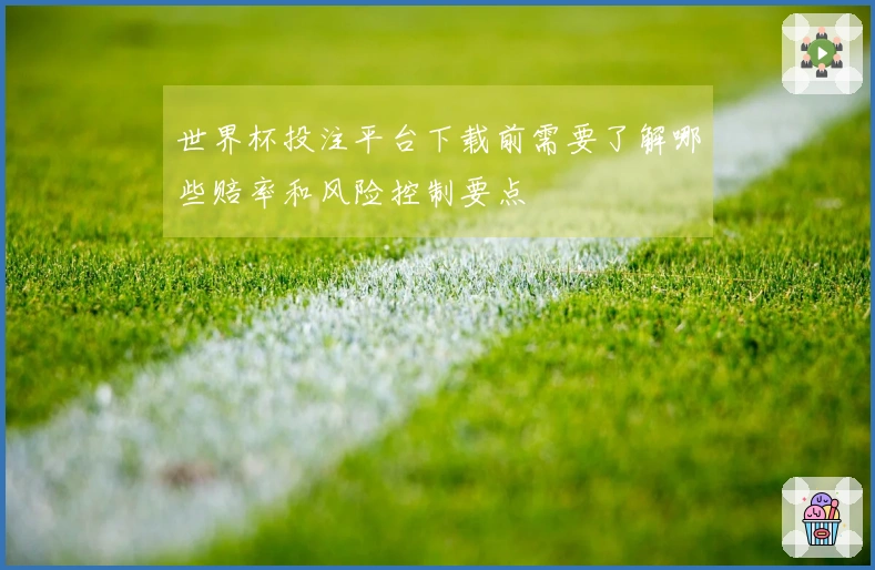 世界杯投注平台下载前需要了解哪些赔率和风险控制要点
