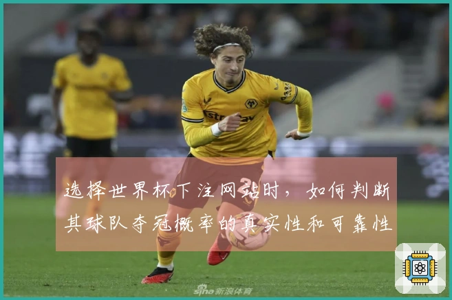 选择世界杯下注网站时，如何判断其球队夺冠概率的真实性和可靠性？