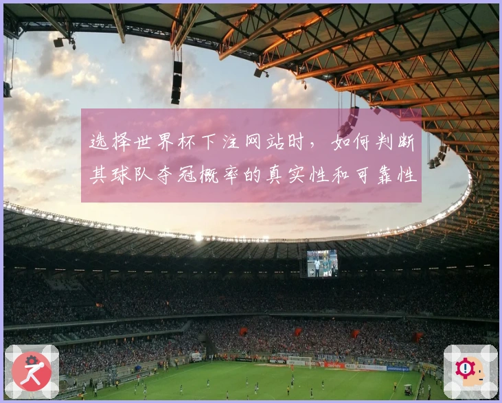 选择世界杯下注网站时，如何判断其球队夺冠概率的真实性和可靠性？