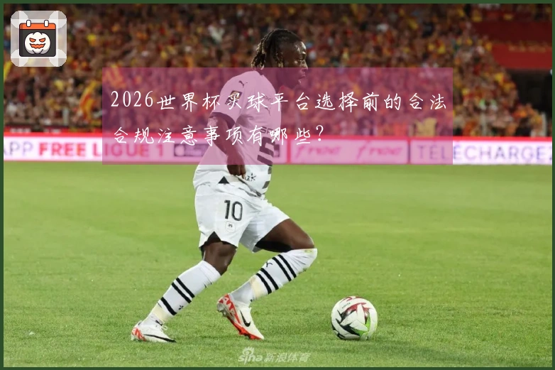 2026世界杯买球平台选择前的合法合规注意事项有哪些？