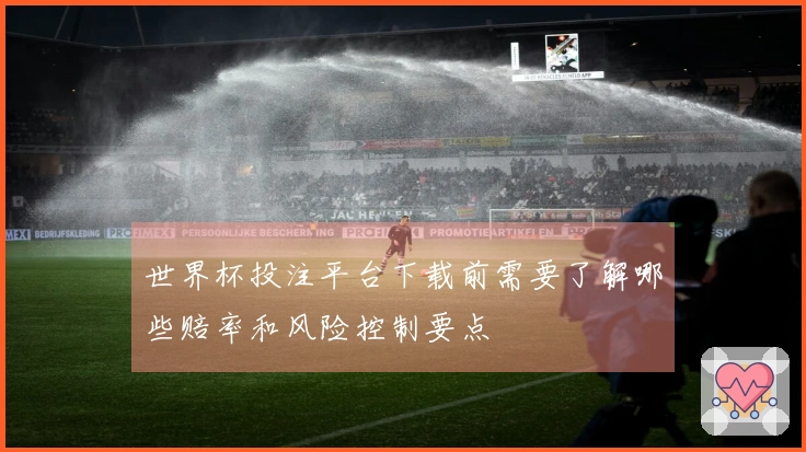 世界杯投注平台下载前需要了解哪些赔率和风险控制要点