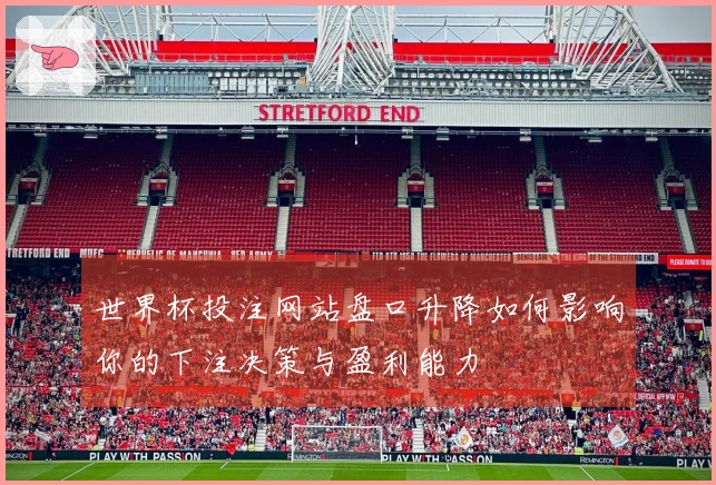 世界杯投注网站盘口升降如何影响你的下注决策与盈利能力