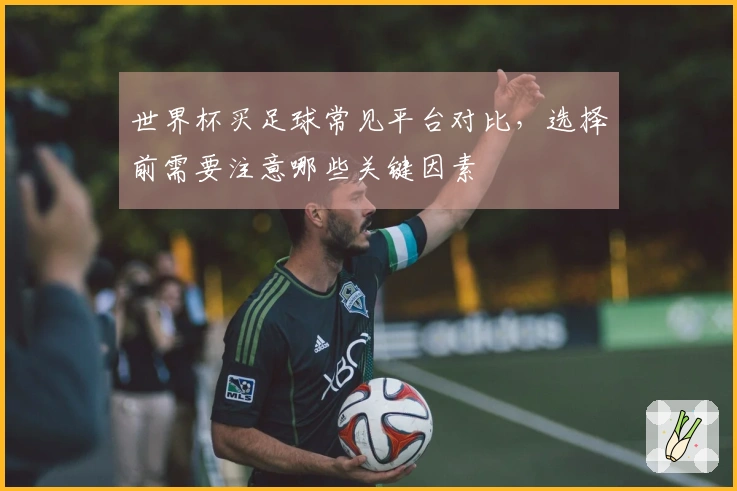世界杯买足球常见平台对比，选择前需要注意哪些关键因素
