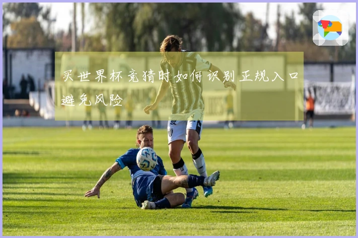 买世界杯竞猜时如何识别正规入口避免风险