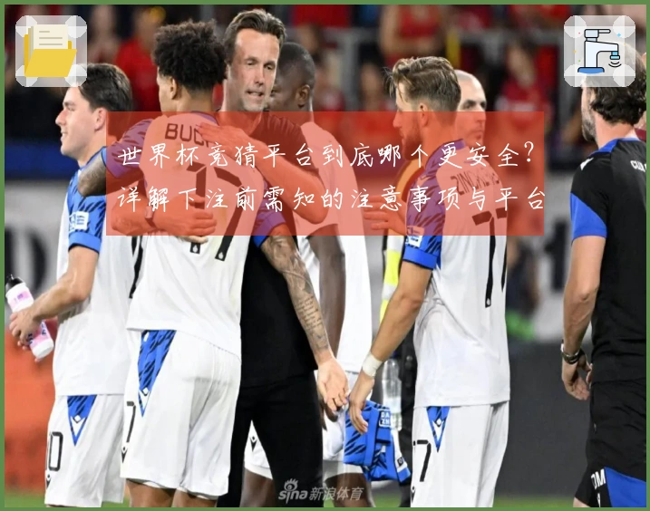 世界杯竞猜平台到底哪个更安全?详解下注前需知的注意事项与平台对比