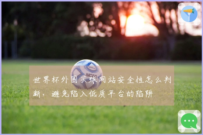 世界杯外围买球网站安全性怎么判断，避免陷入低质平台的陷阱