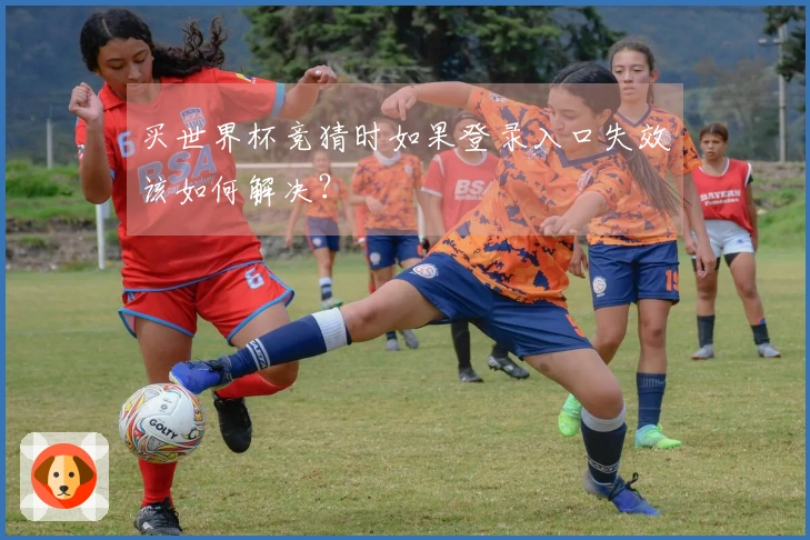 买世界杯竞猜时如果登录入口失效该如何解决？